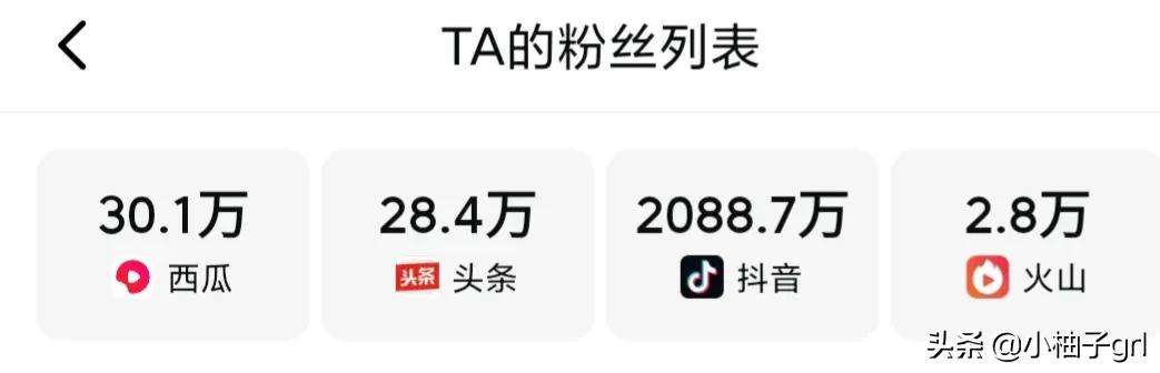 自媒体大咖之间的关系大揭秘桃子姐和幺弟妞妞和农村和小燕子