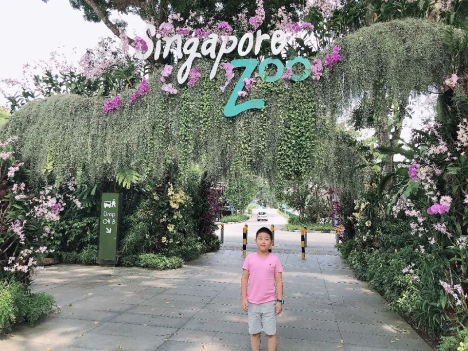 恭贺2023AIPF钢琴亚联赛重庆赛区人气获奖者收获满满未来可期