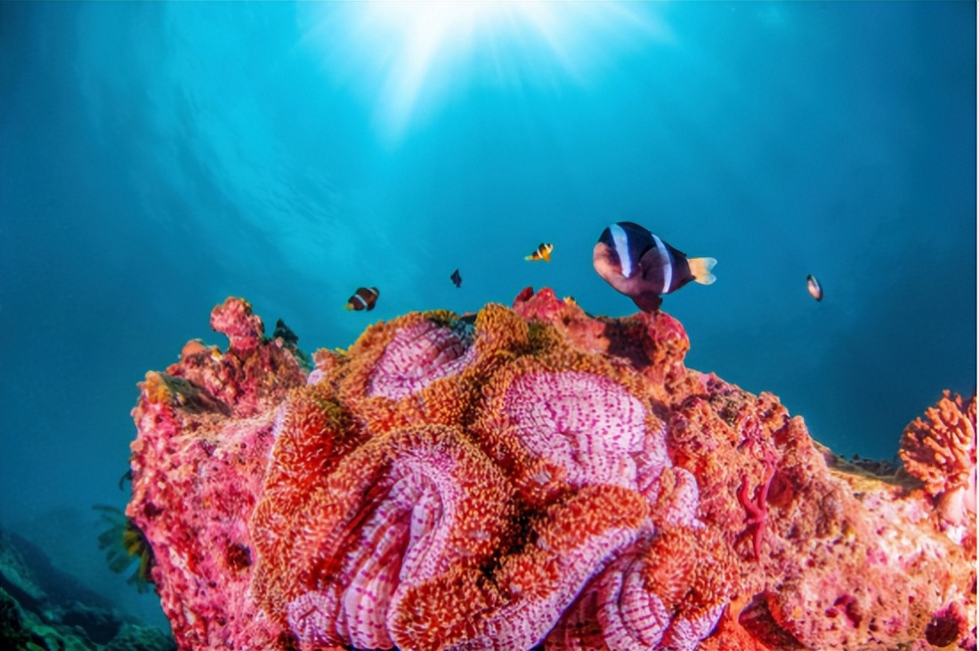 带孩子去蜈支洲适合玩多久,带小孩蜈支洲岛一日游攻略