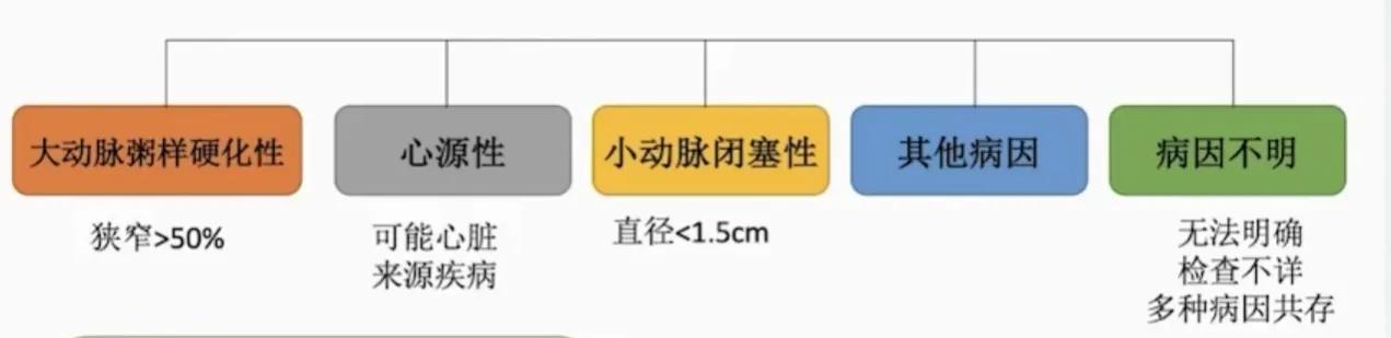 缺血性卒中治疗原则,缺血性卒中病因分型