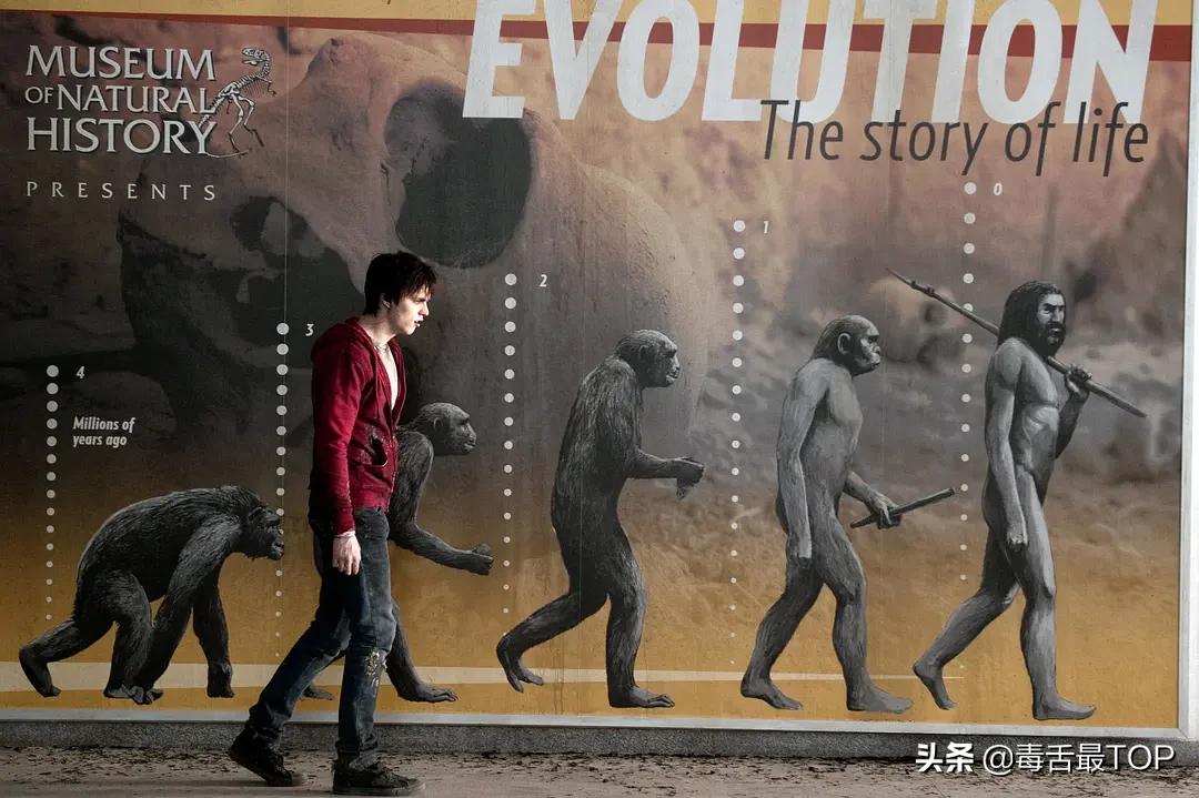 值得熬夜也要看的电视剧,值得熬夜看的4本书