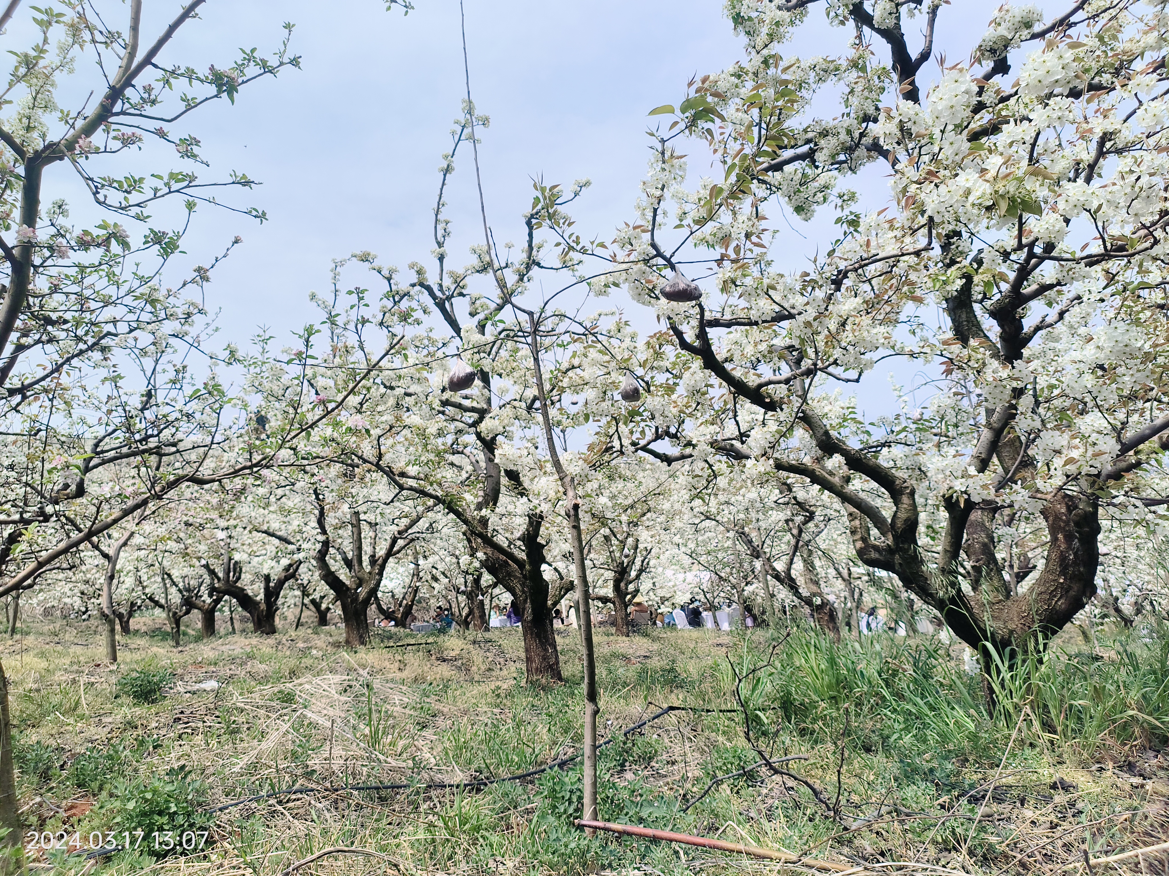金牌旅游村打造,金牌旅游村福建