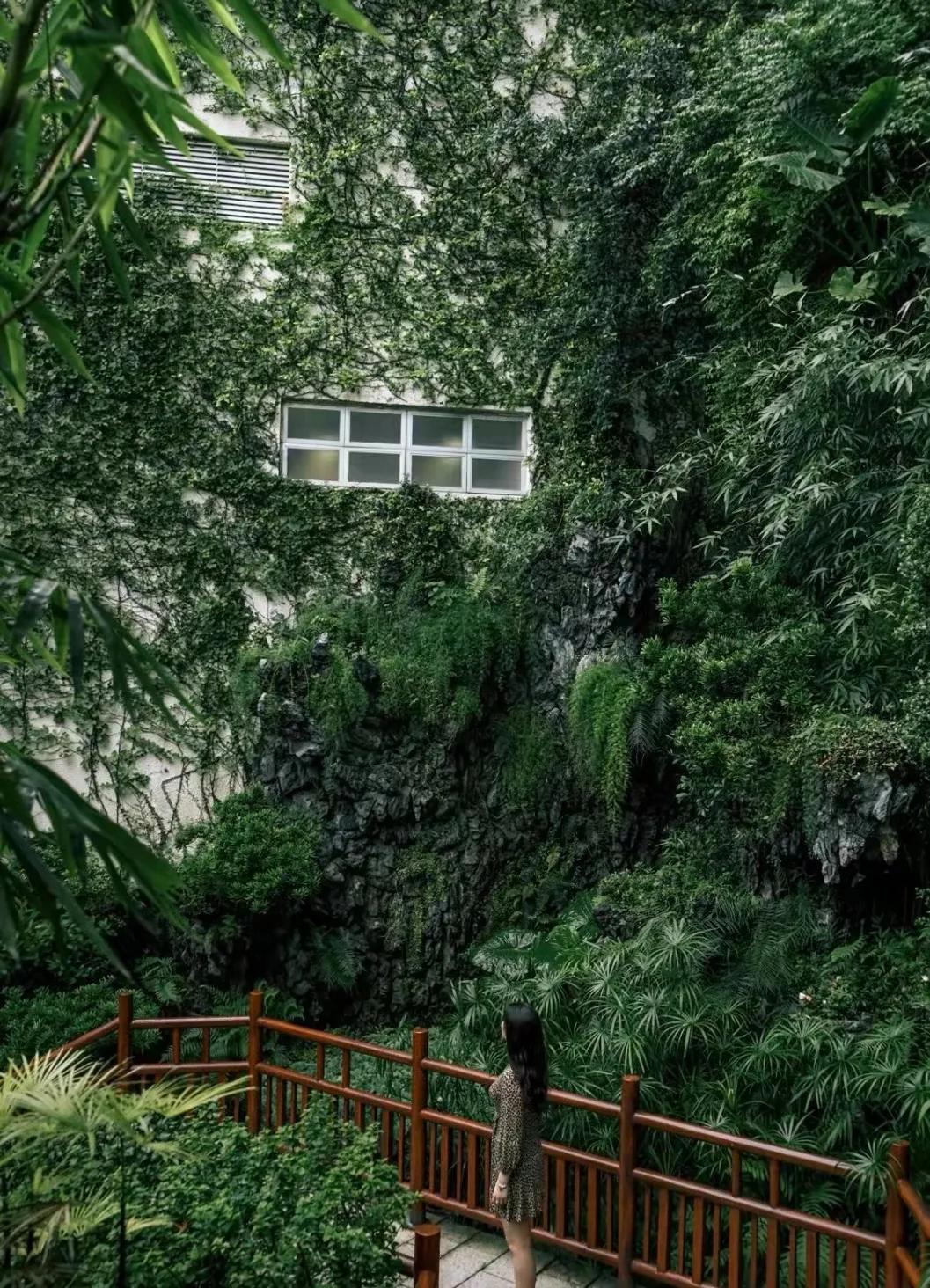 香港哪些地方值得打卡,香港必打卡的地方适合年轻人