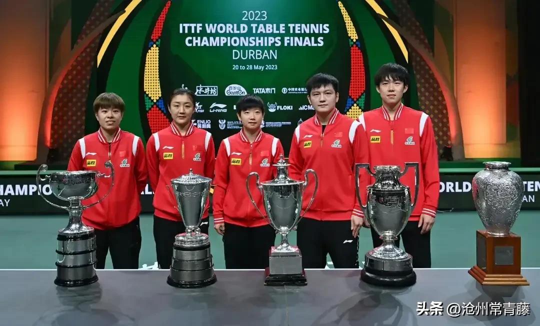 乒联最新排名国乒两将稳占榜首,国际乒联公布孙颖莎最新排名