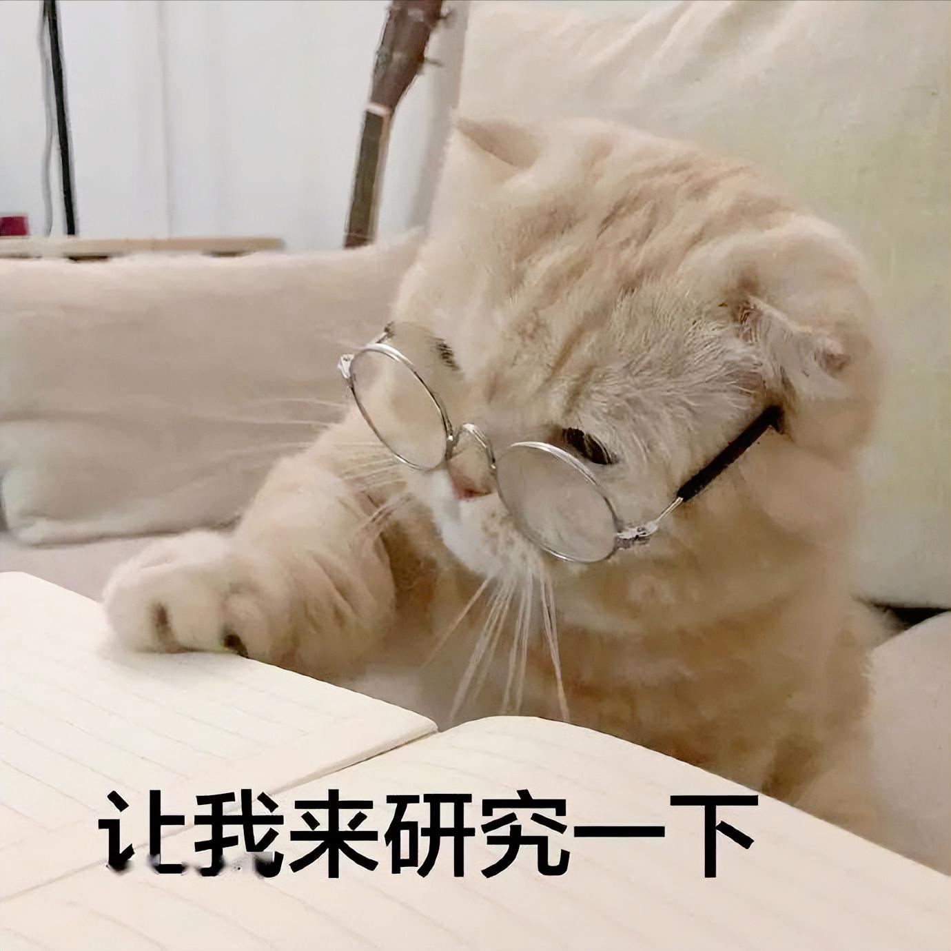 红富士苹果出口哪些国家,南非出产红富士苹果