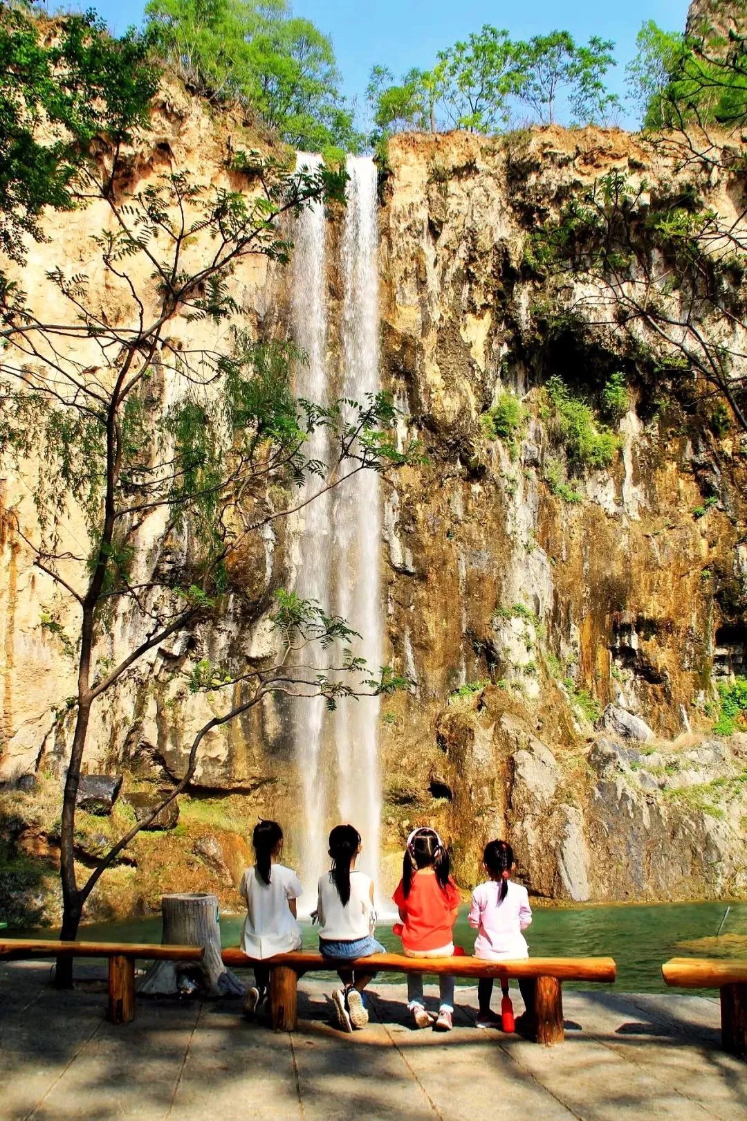 享受阳光享受大自然天然氧吧,值得一去的天然森林氧吧