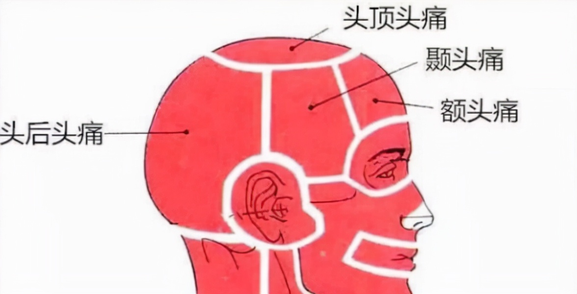 治脑供血不足头晕的药,头晕增加脑供血的中成药有哪些