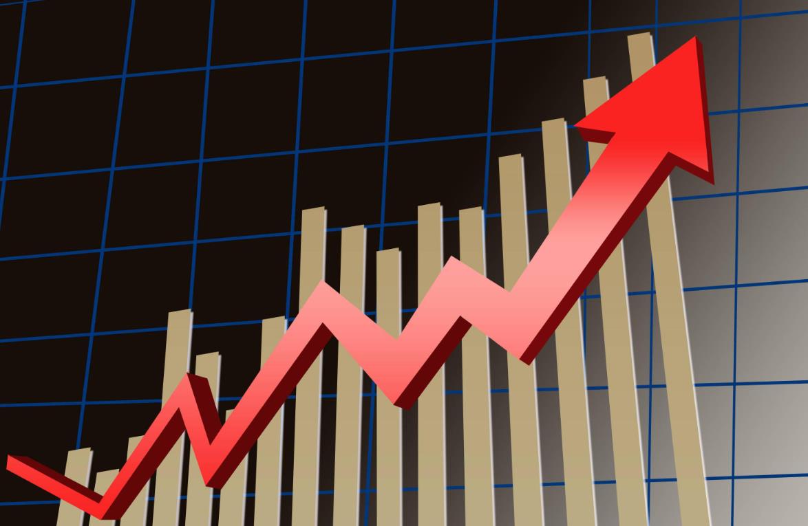 胡锡进炒股第12天成绩,胡锡进谈自己炒股心得