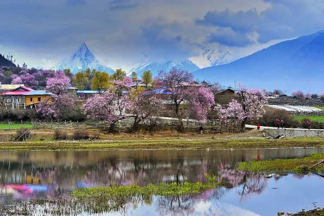 忆~环游路上｜青藏高原的奇葩趣事