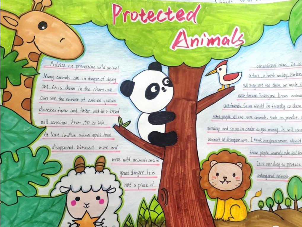 保护动物手抄报英语一等奖五年级,英语保护动物倡议手抄报