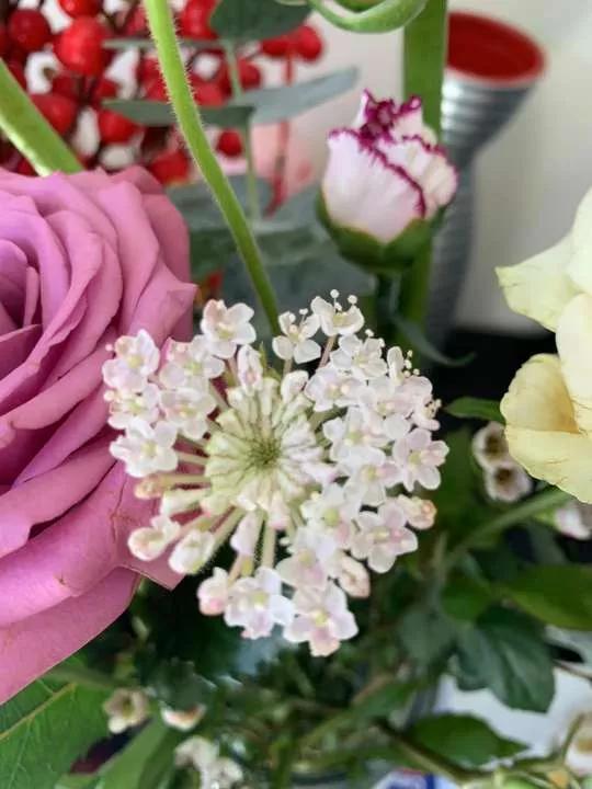 岁月斑驳留下来的都是静好时光,岁月斑驳愿时光静好