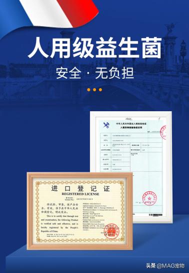 刚出生的小猫没有羊奶粉要喂什么,刚出生的小猫喂羊奶粉应该怎么喂