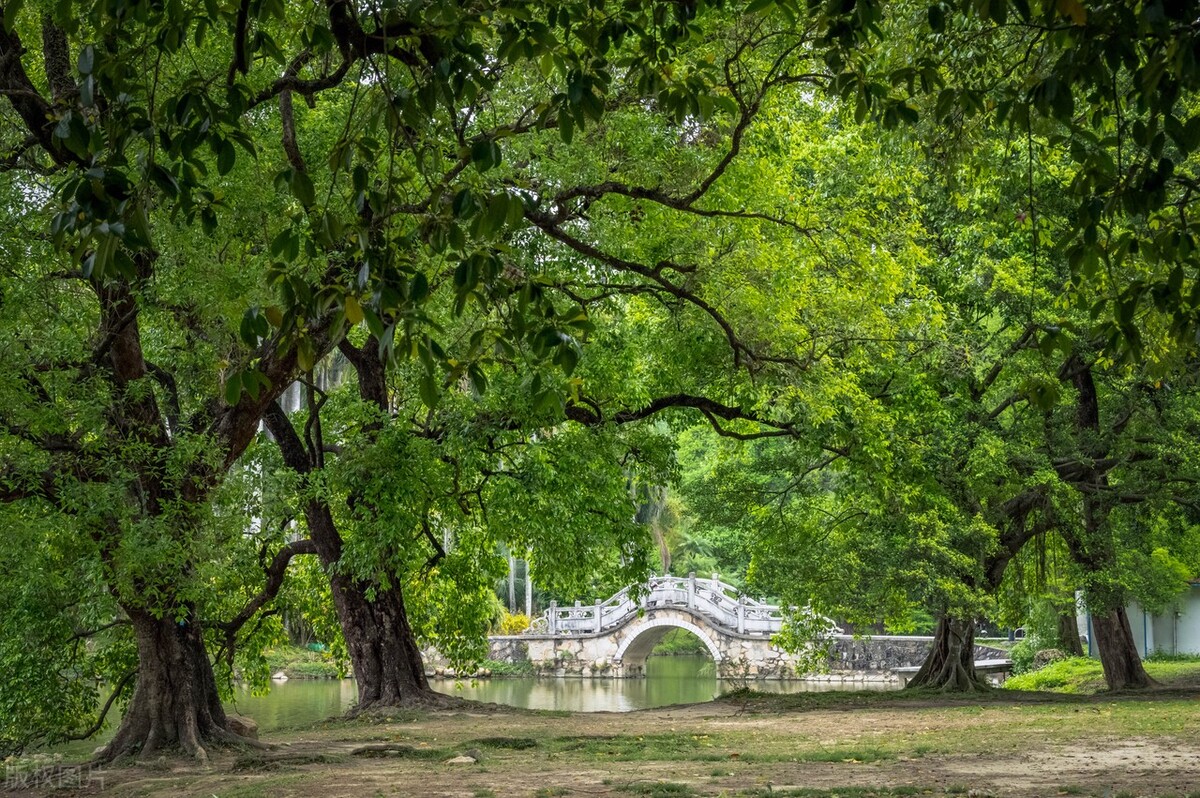 广州东山旅游攻略必去十大景点,广州东山口景点图片