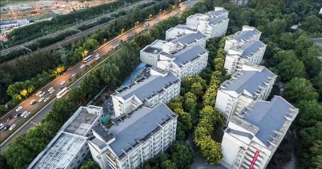 最新！2023中国大学排名公布：南京林业大学进步“飞速”！