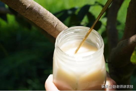 辛苦劳作的蜜蜂,辛苦的老蜜蜂