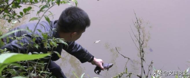 男子在臭水沟捡到一只乌龟,村民捡到乌龟马上报警