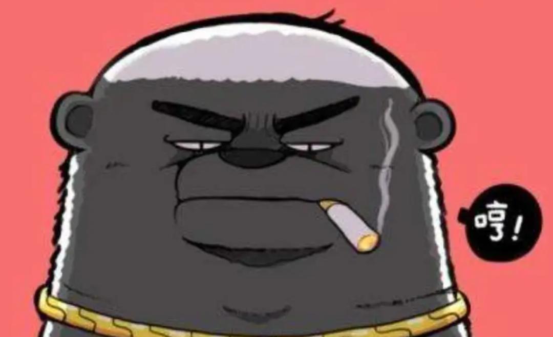 大鹅和平头哥,平头哥最新比赛谁赢了