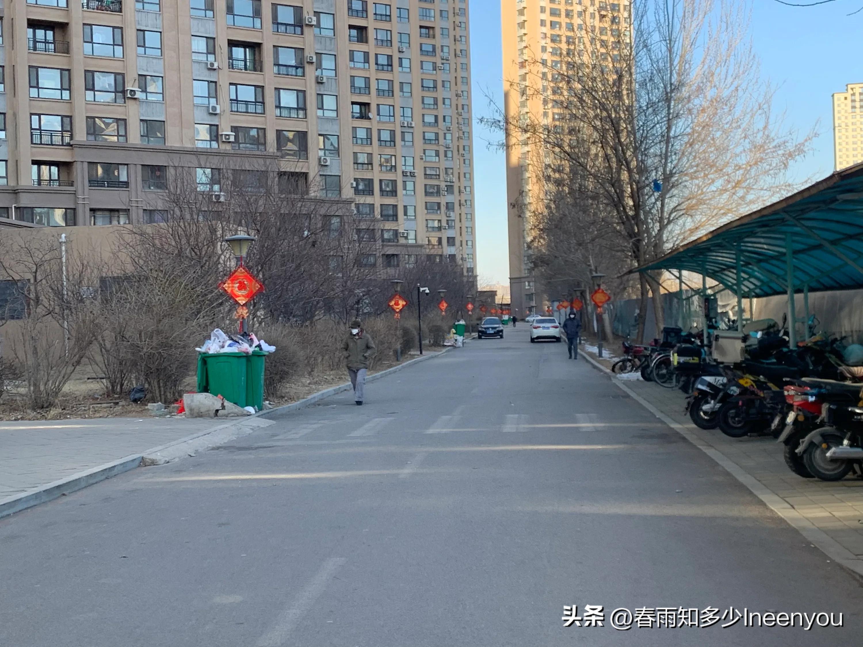 生活本就是不停的奔波,元旦将至忙忙碌碌