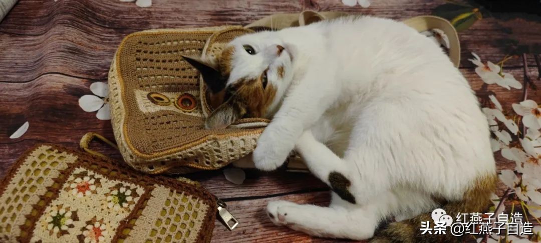 经典时尚的小包编织,横款小包编织教程简单一点