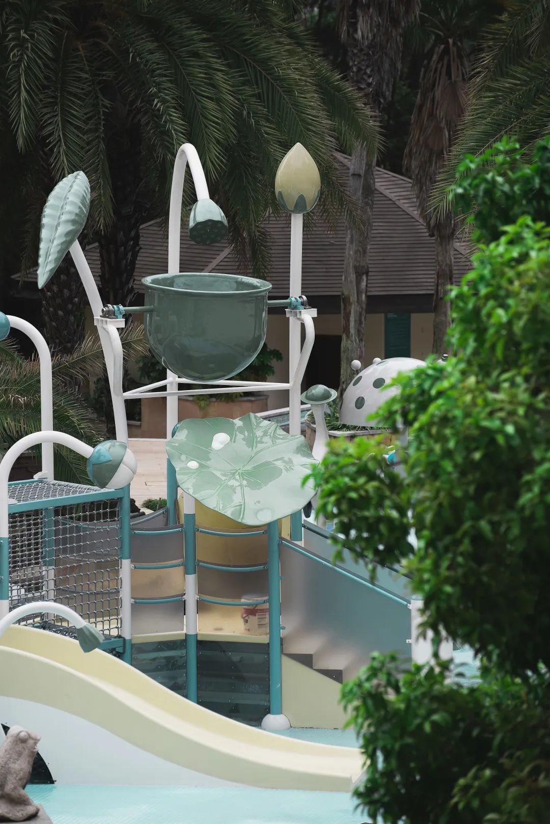 陈妙林直播,开元酒店集团董事长陈妙林