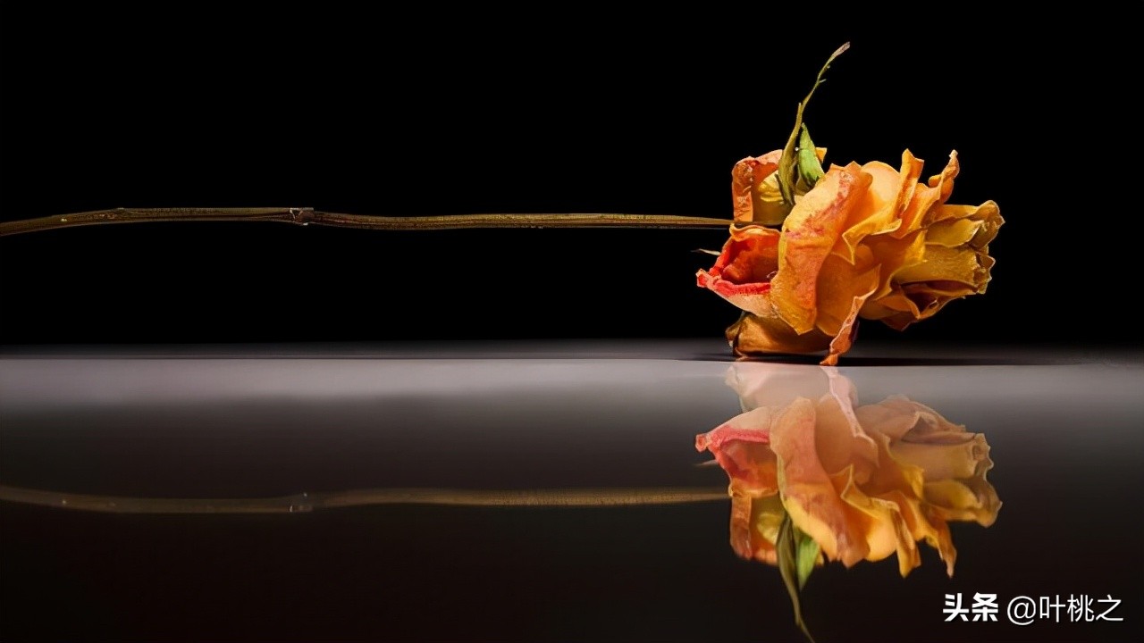 父母不在了兄弟姐妹会反目成仇吗,如果有一天父母离开了我怎么办