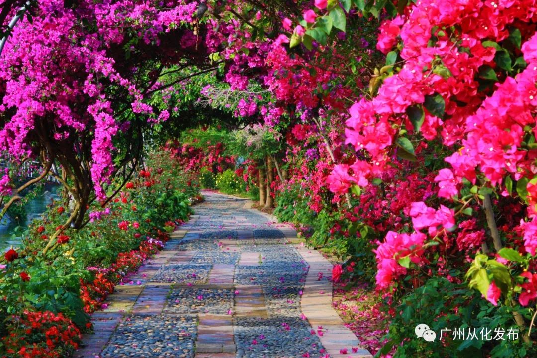 好想在从化结婚！好靓啊啊啊~