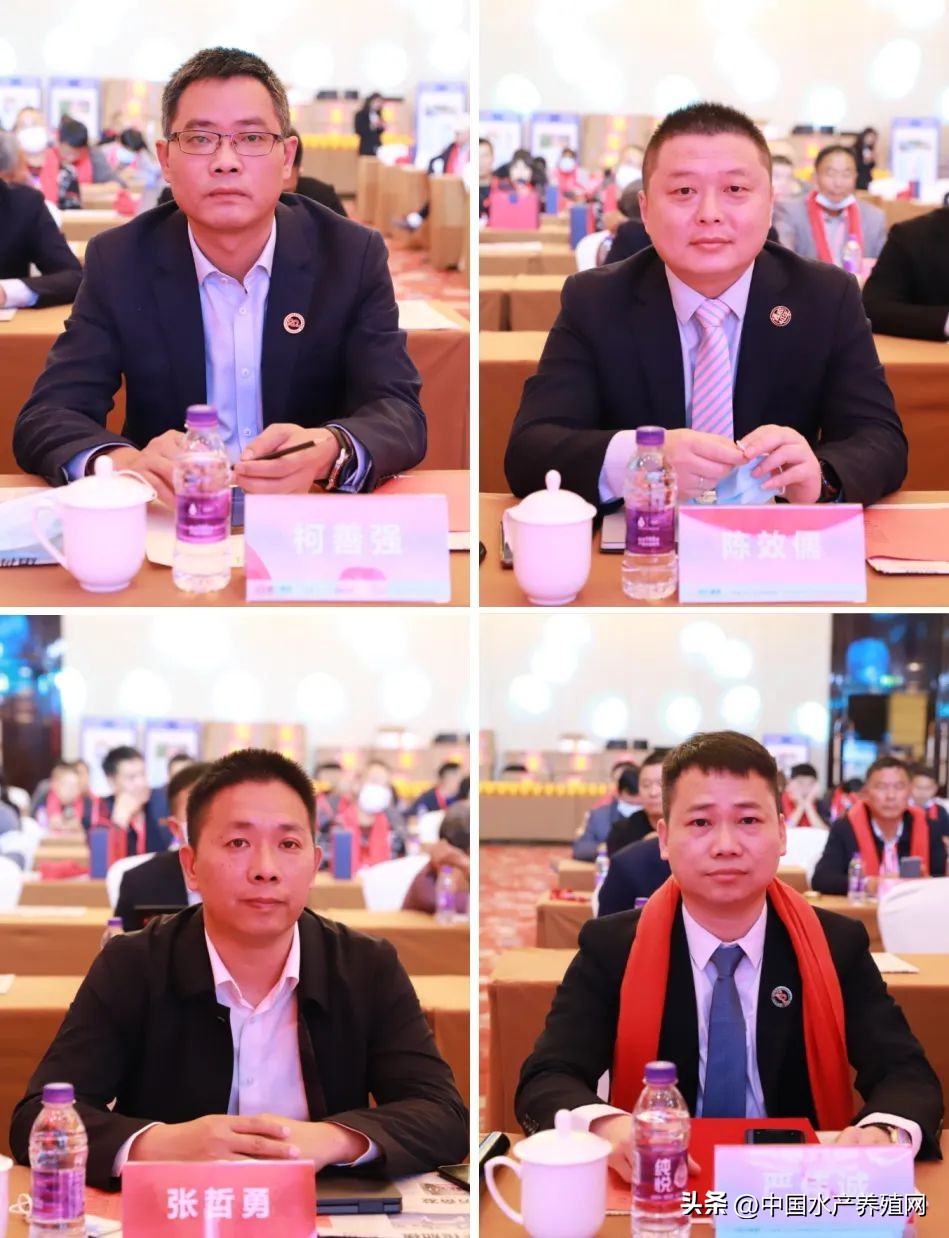 通威10000亿订单,通威股份获千亿订单