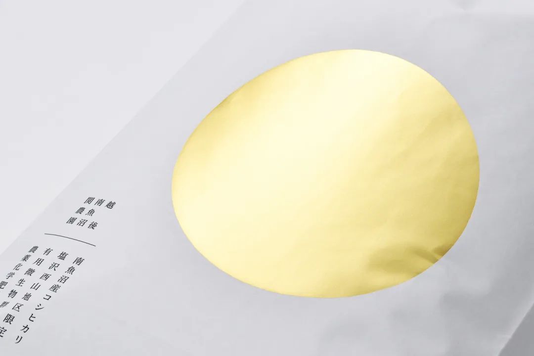 闀囨睙澶х背鍖呰璁捐,澶х背鍖呰璁捐娴欐睙