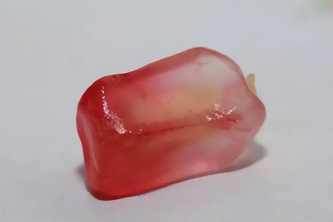 石榴会不会有虫子,石榴果苗的挑选