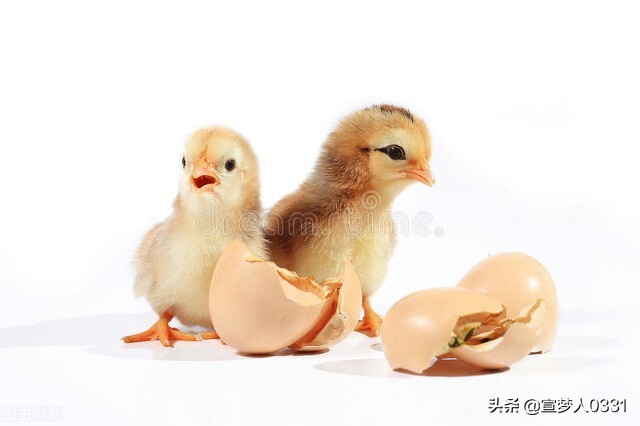 小朋友不吃饭怎么办最有效0-3岁,孩子不吃饭该怎么跟孩子说