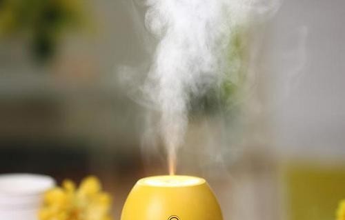 加湿器引起呼吸道感染专家辟谣,家用加湿器没水了会有危险吗