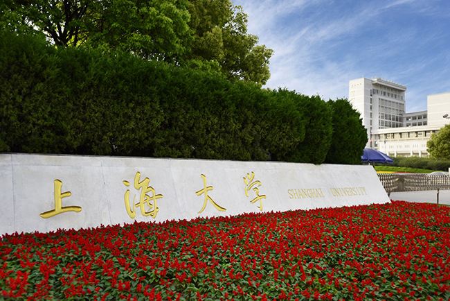 上海211大学排名一览表及分数线,上海市985及211的学校有哪些