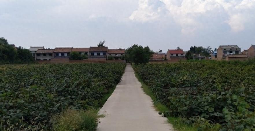 妩媚女儿独守豪宅，贤惠厨艺引亲情溢出