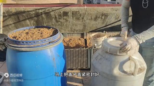 楼顶阳光房种菜怎么才没有虫子,楼顶种菜防虫子