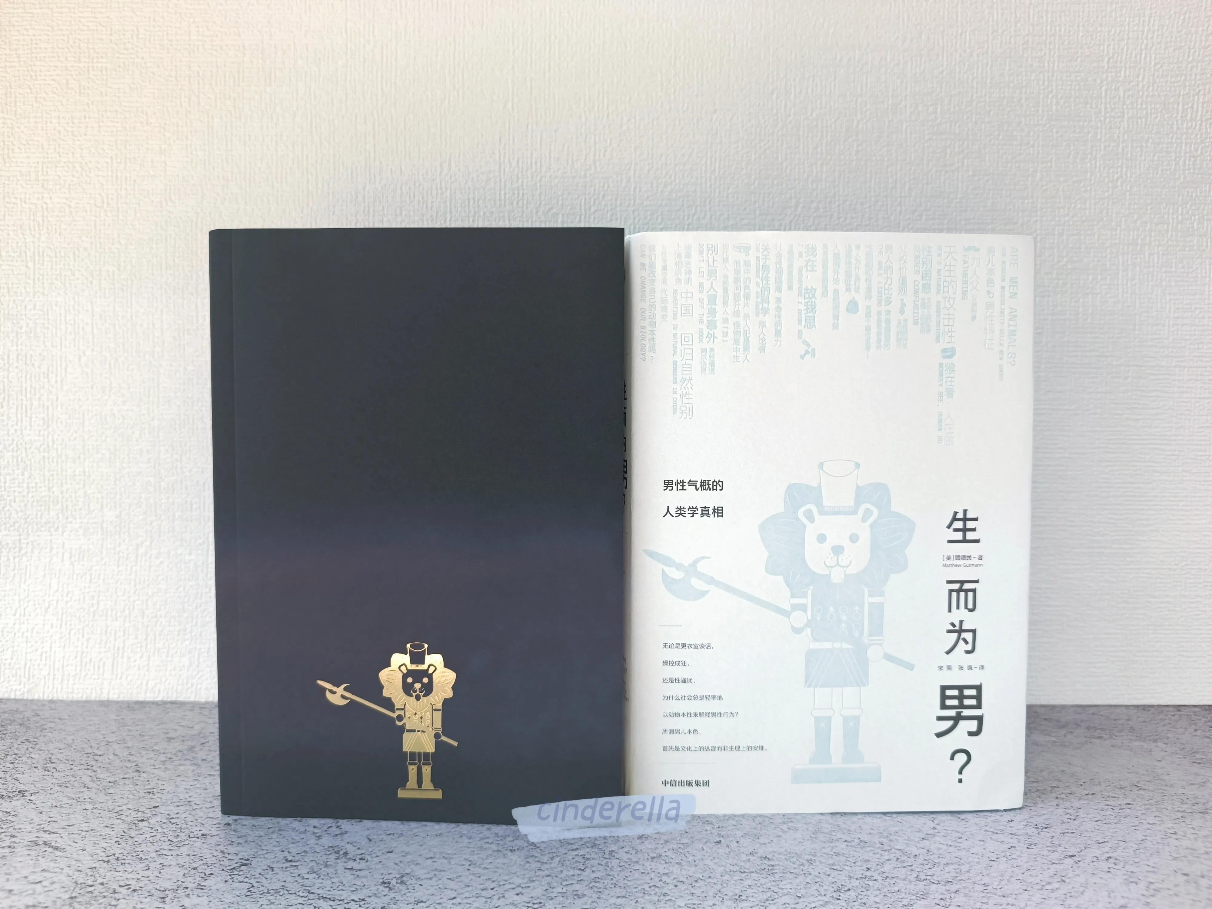 生而为男,生而为人男生经典版