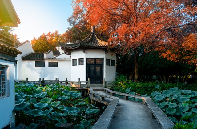 大上海旅游攻略必去景点大全,休息了没事去大上海参观旅游景点