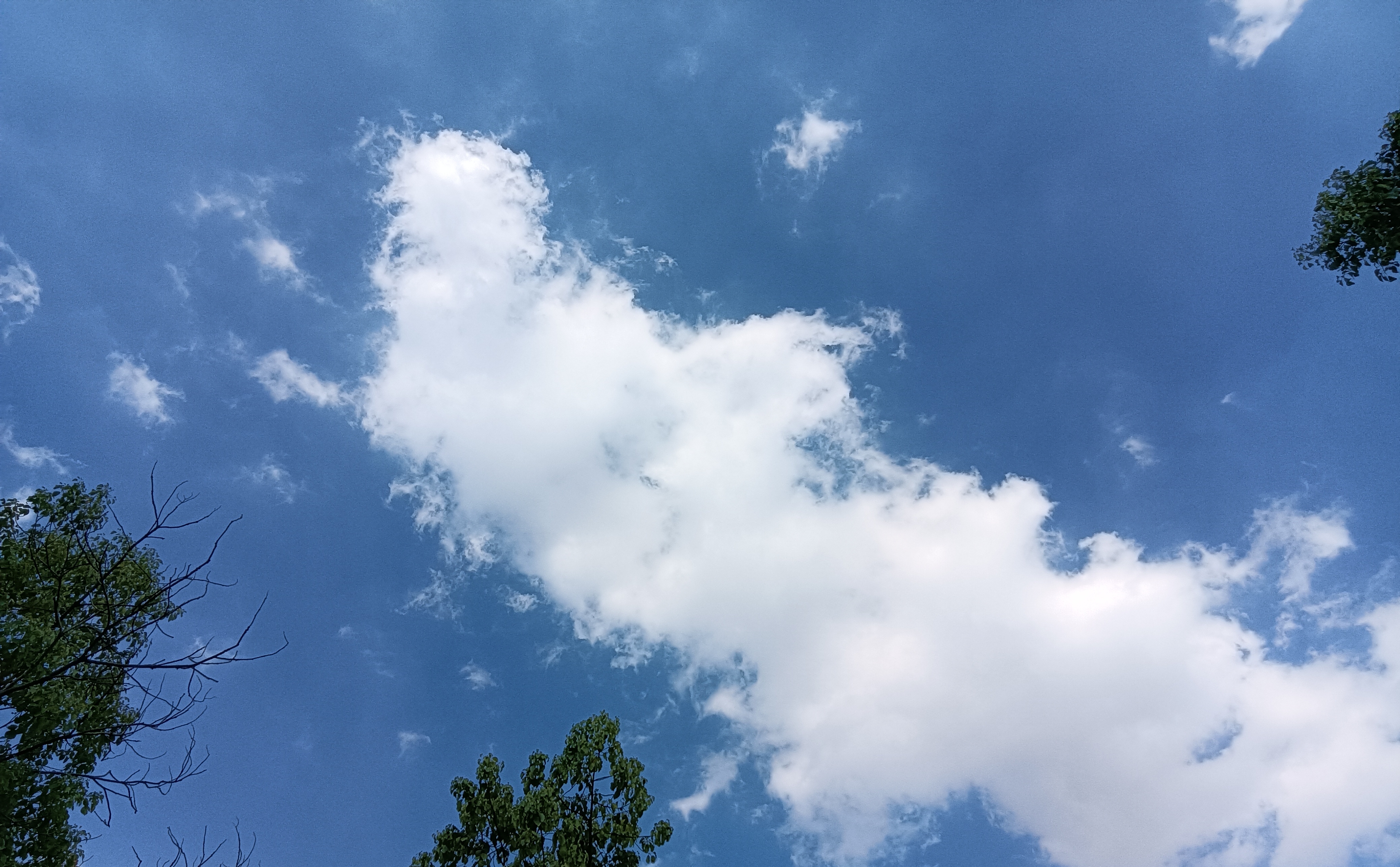 英语人机对话中考政策,2018年中考英语人机对话训练