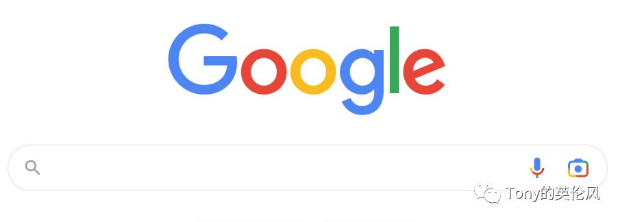 宠物饲养指南,宠物指南新手最适合养的猫