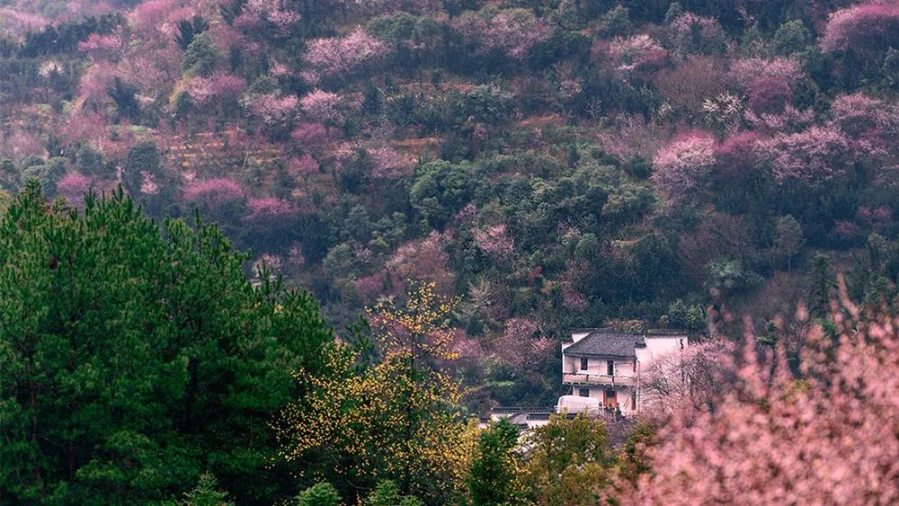 预测刷屏！疫情今春有望结束？适合2月去的18个大美山河准备好了