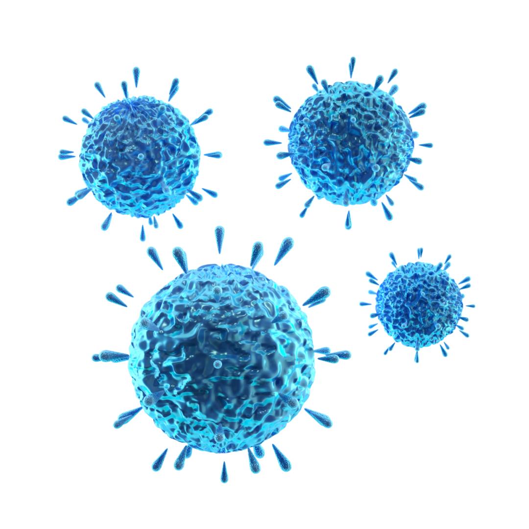 壳寡糖对肠道益生菌的影响,壳寡糖对根系作用