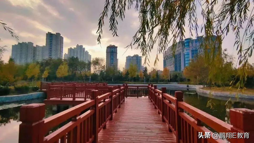 山东中医药大学护理学院招生,护理系山东中医药高等专科学校