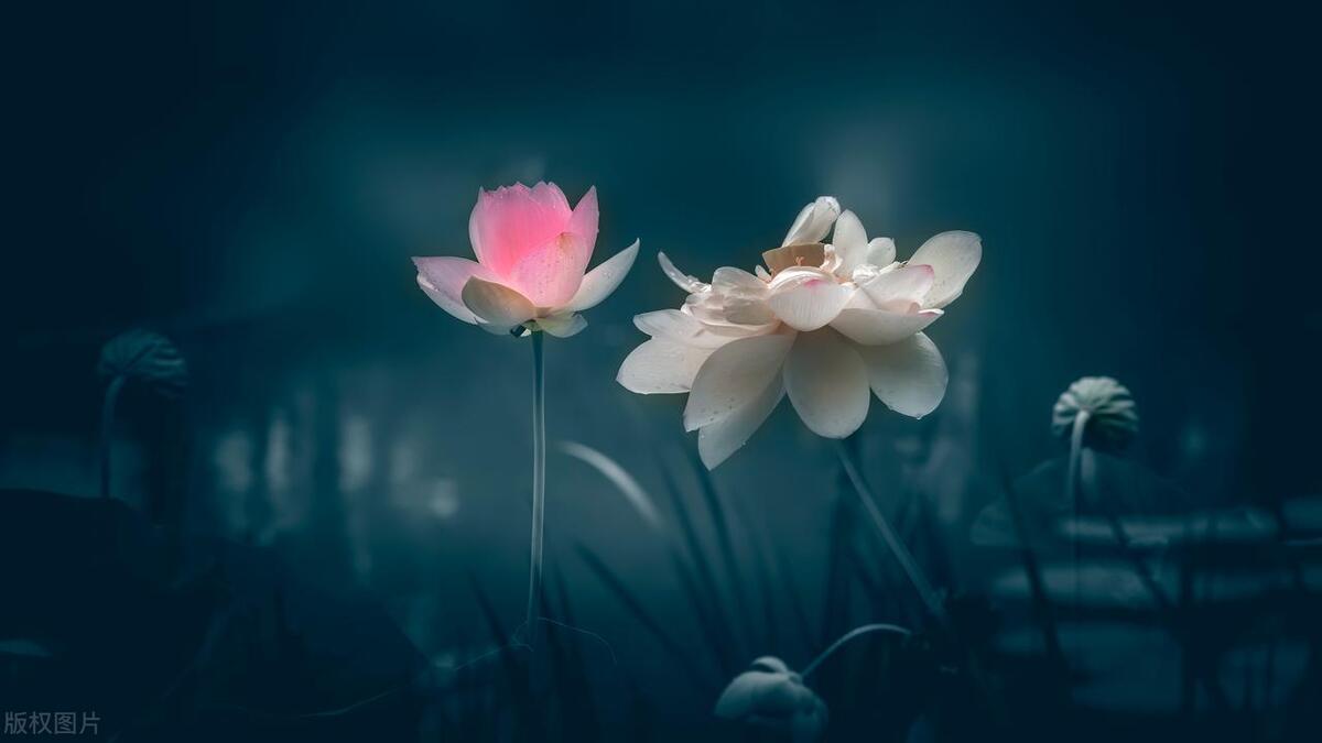 敏感肌怎么办,很敏感怎么改变