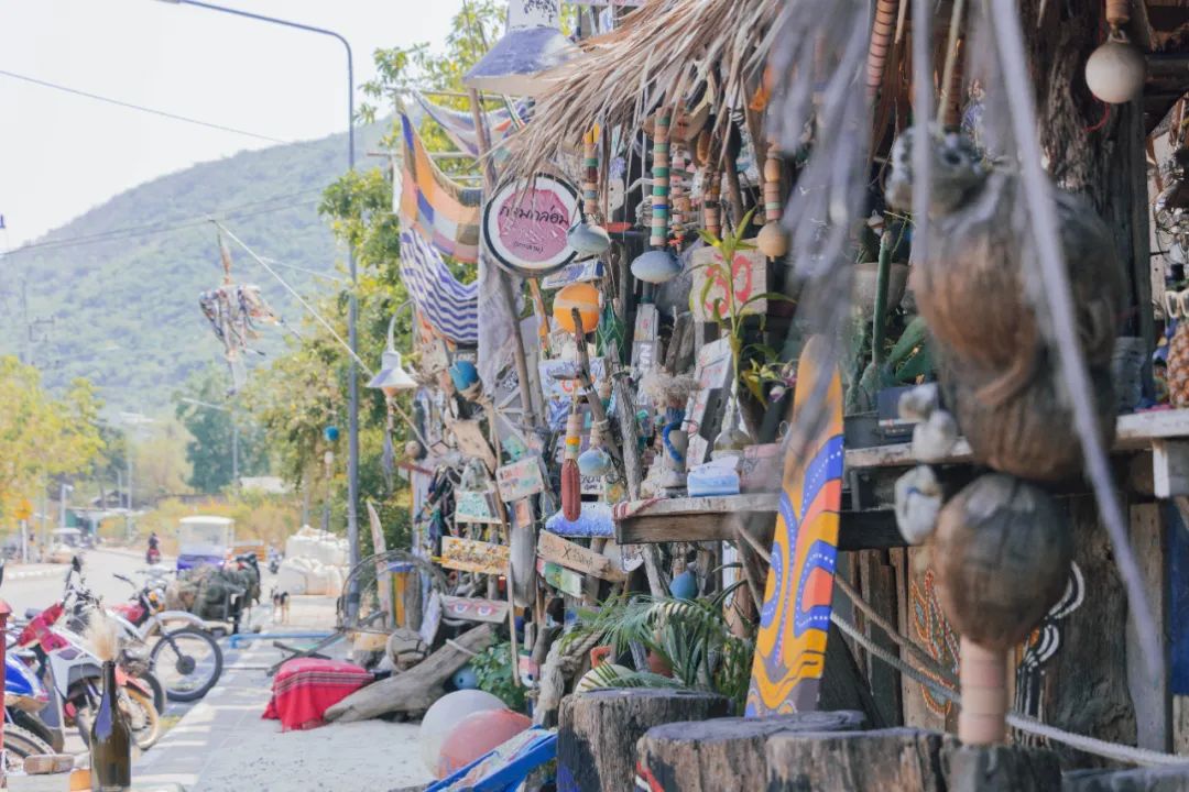 鍘绘嘲鍥芥浖璋峰拰鑺彁闆呯殑鏀荤暐,鍘绘嘲鍥界帺杞浖璋疯姯鎻愰泤