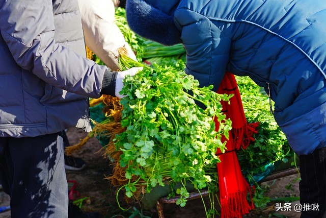 对互联网谣言的正确态度,互联网谣言“野蛮生长”