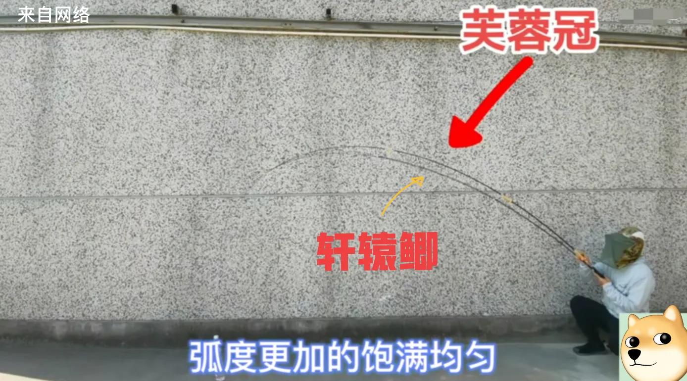 高档鱼竿太贵,高端鱼竿低价格