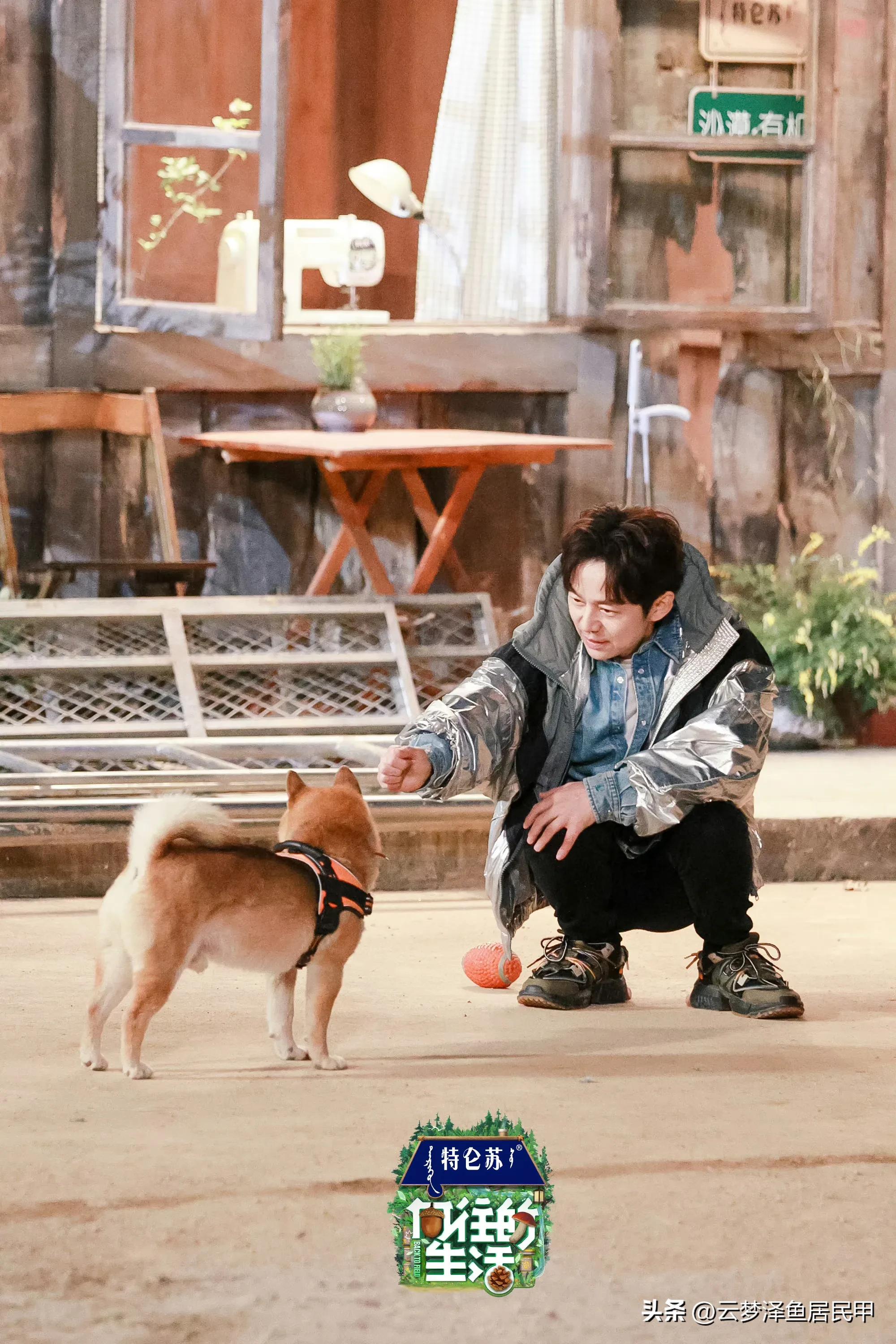 向往的生活不拍第8季了吗,向往的生活狗子们去哪了