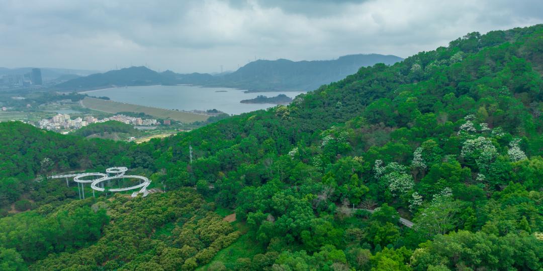 徒步露营带什么好吃的美食,旅行美食露营总有一款能治愈