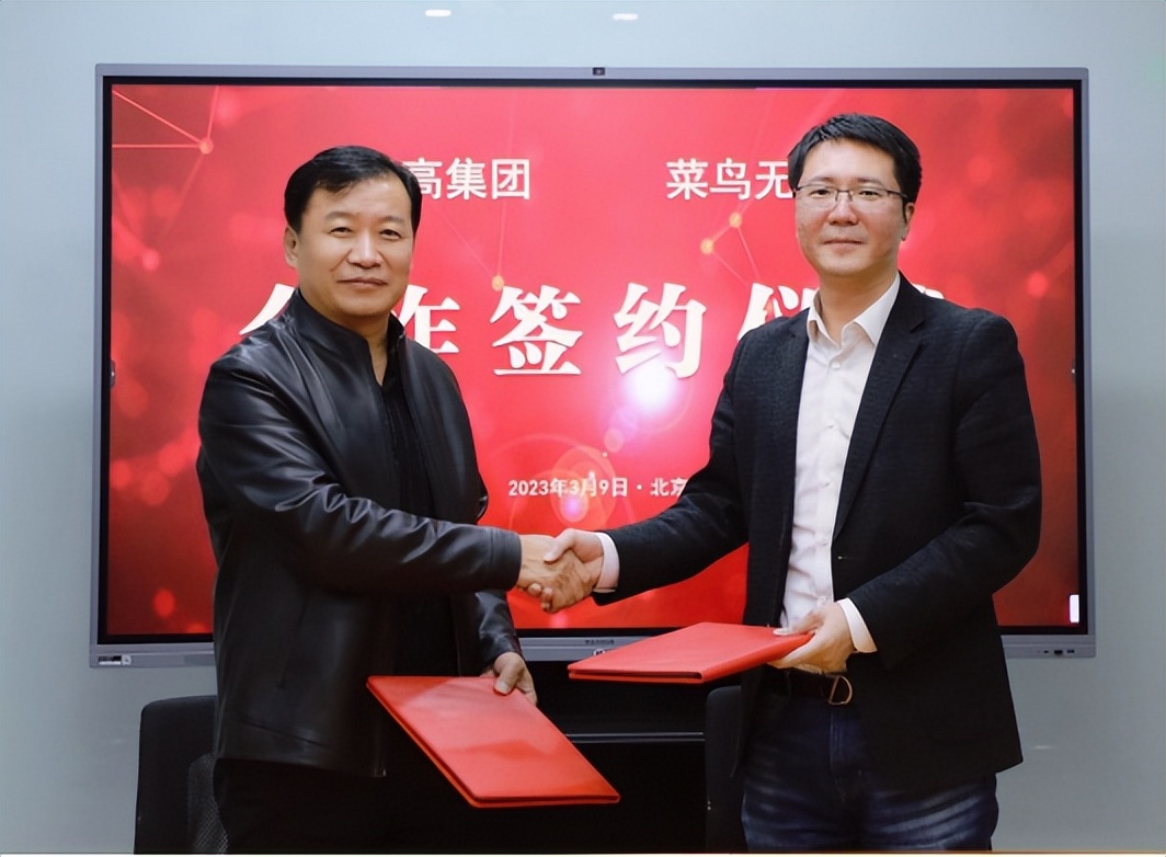 双高合作计划,双高集团组织架构