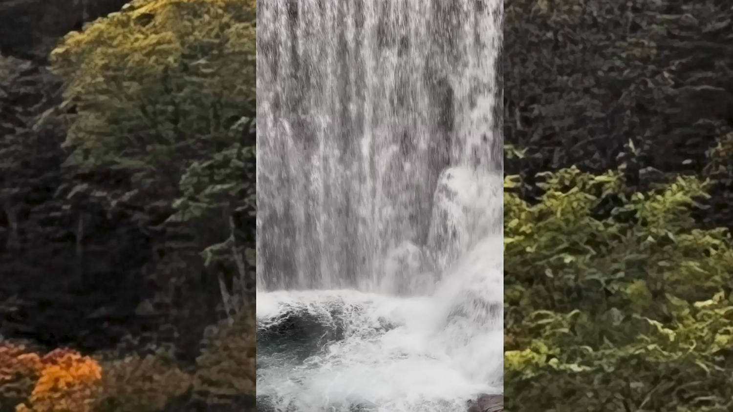 carhartt夏装,carharttwip衣服推荐