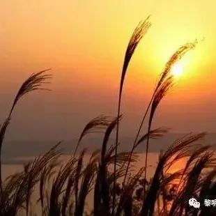 广西上林县三里镇轶事